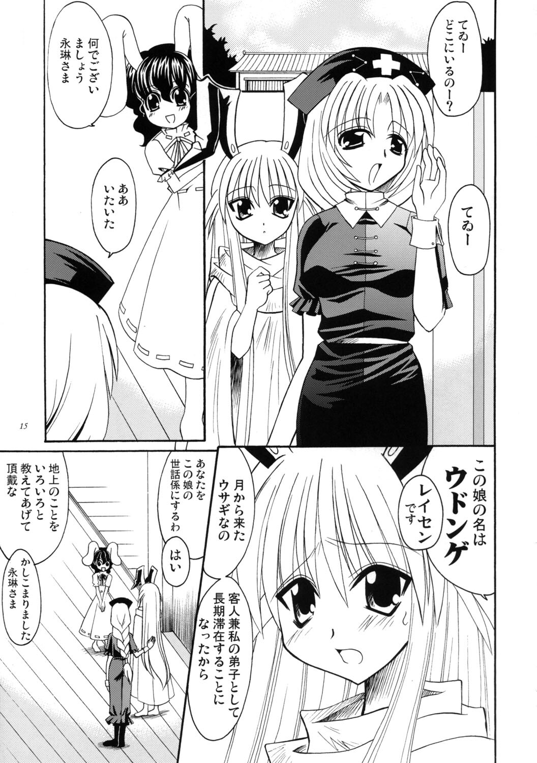 Touhou - Shiroi Usagi no Nagai Yoru (Doujinshi)