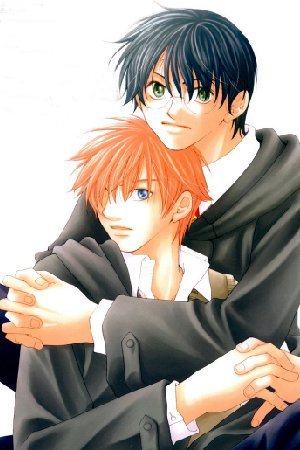 Harry Potter - Unforeseeable Heart: Incomplete Feelings (Doujinshi)