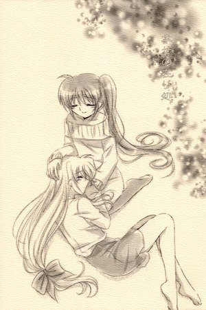 Mahou Shoujo Lyrical Nanoha - The Place Where Happiness Is (Doujinshi)