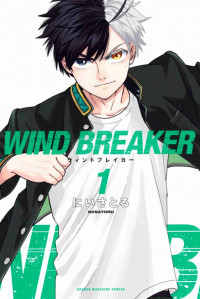 Wind Breaker (NII Satoru)