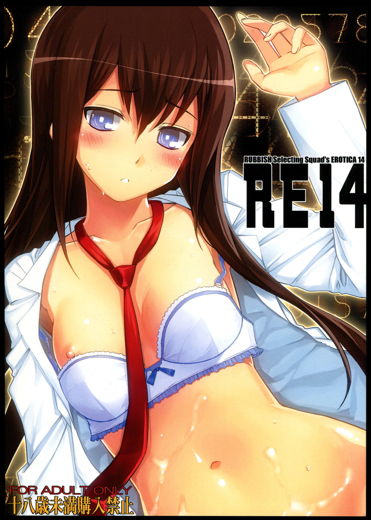 Steins Gate - RE 14 (Doujinshi)