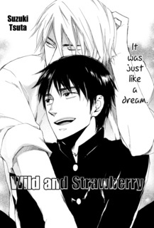 Wild to Strawberry