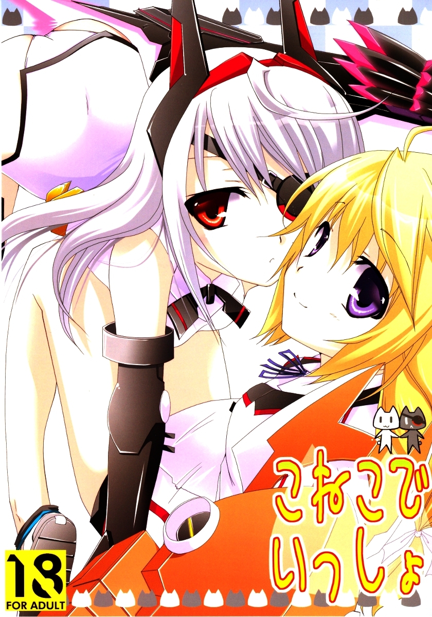 Infinite Stratos - Koneko de Issho (Doujinshi)