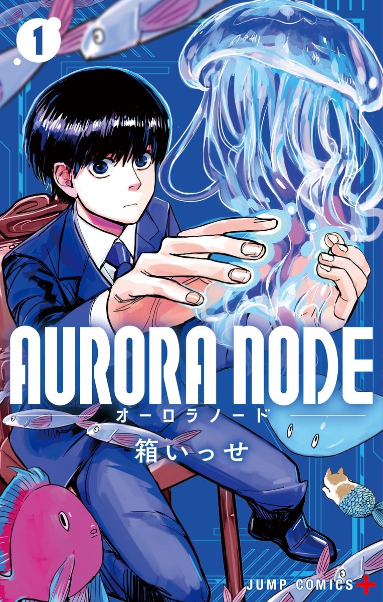 Aurora Node