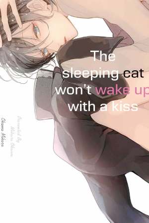 The Sleeping Cat Won’t Wake Up With A Kiss